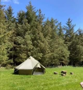 Lodgehill Campsite